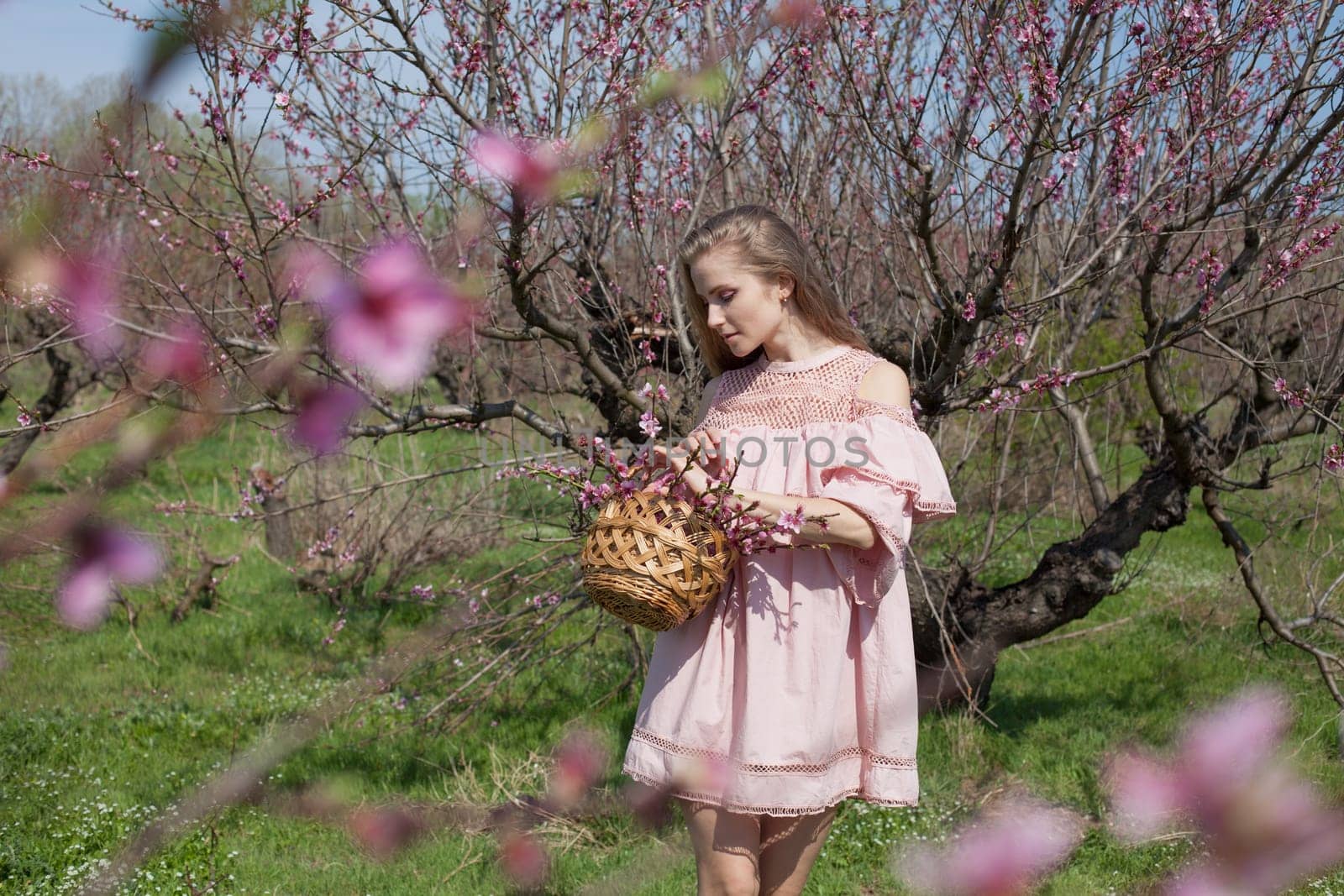 happy blonde woman in pink dress collects flowers in the flowering garden in spring