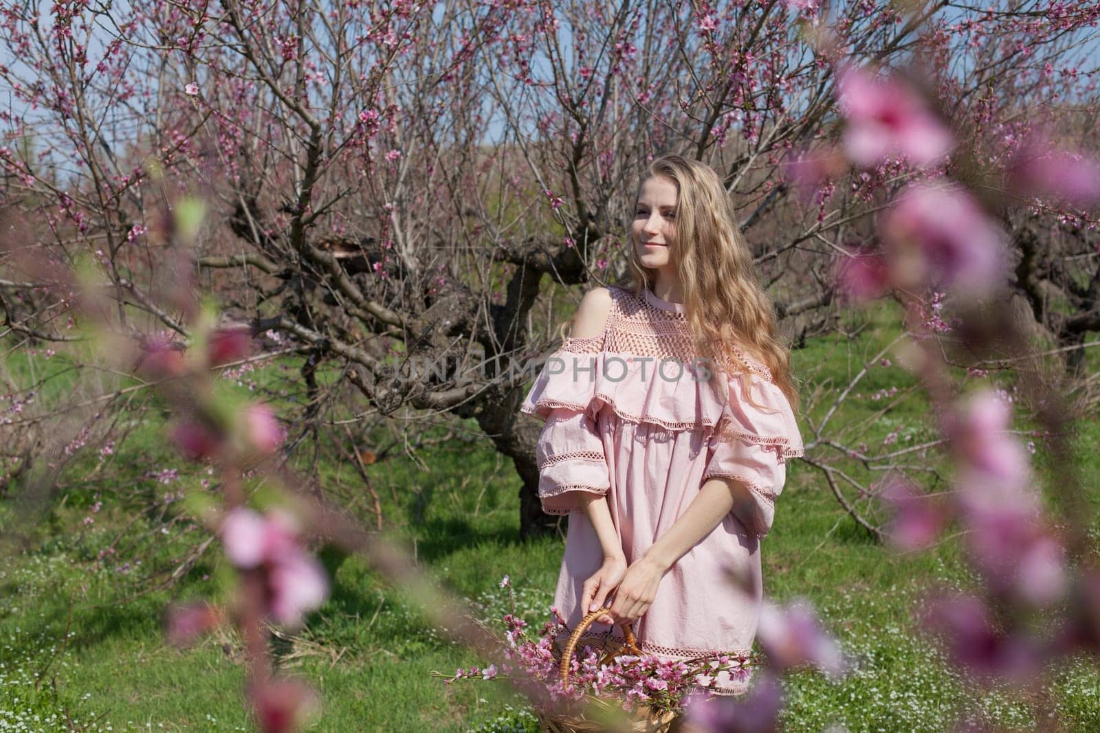 happy blonde woman in pink dress collects flowers in the flowering garden in spring