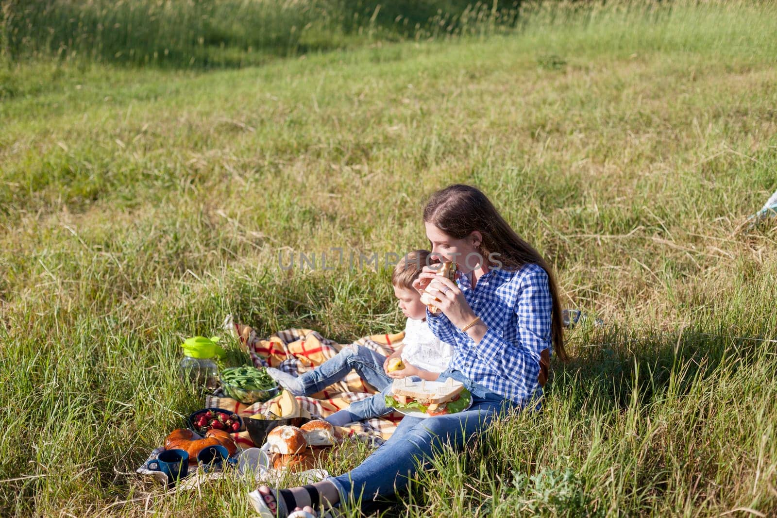 Beautiful woman with her son on a picnic by Simakov