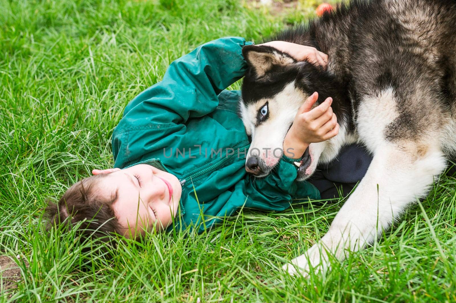 Boy playing with his dog. Happy child plays with siberian husky dog. Active children concept.