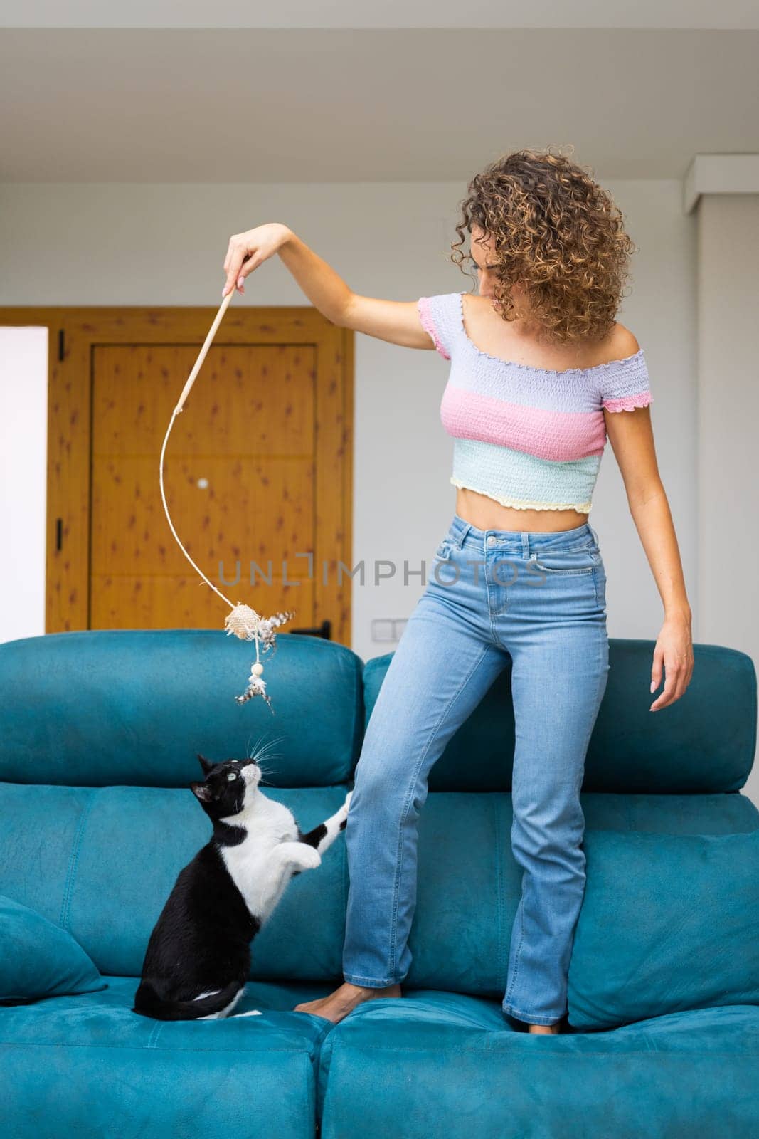 Young curly haired female in jeans and top standing on sofa and playing with cute cat at home