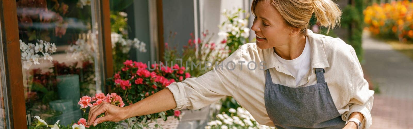 Female florist taking care of houseplant in flower shop. Plant care concept. High quality photo