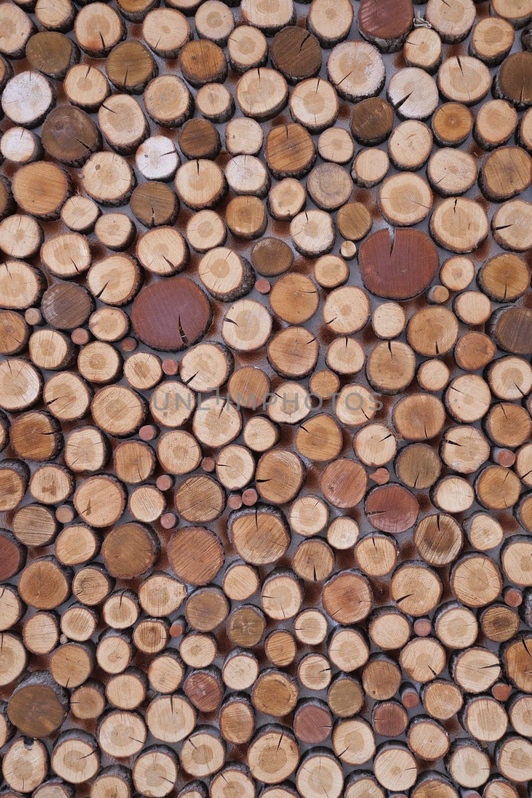 Background of tree stumps, natural wood background. High quality photo