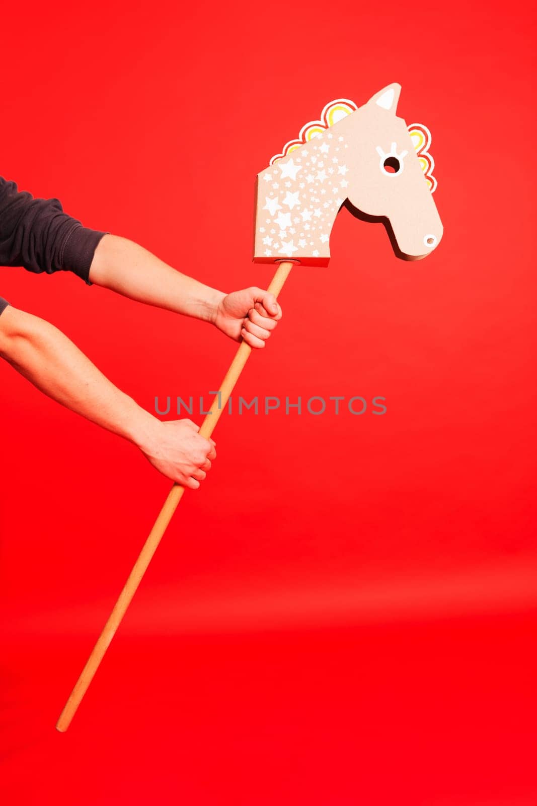 Stick horse, hobby horse. Equestrian sports. Equestrian equipment. Sports. Banner by sarymsakov