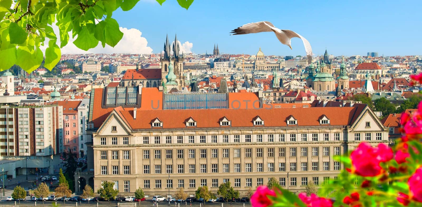 View on red roofs and Powder Tower in Prague