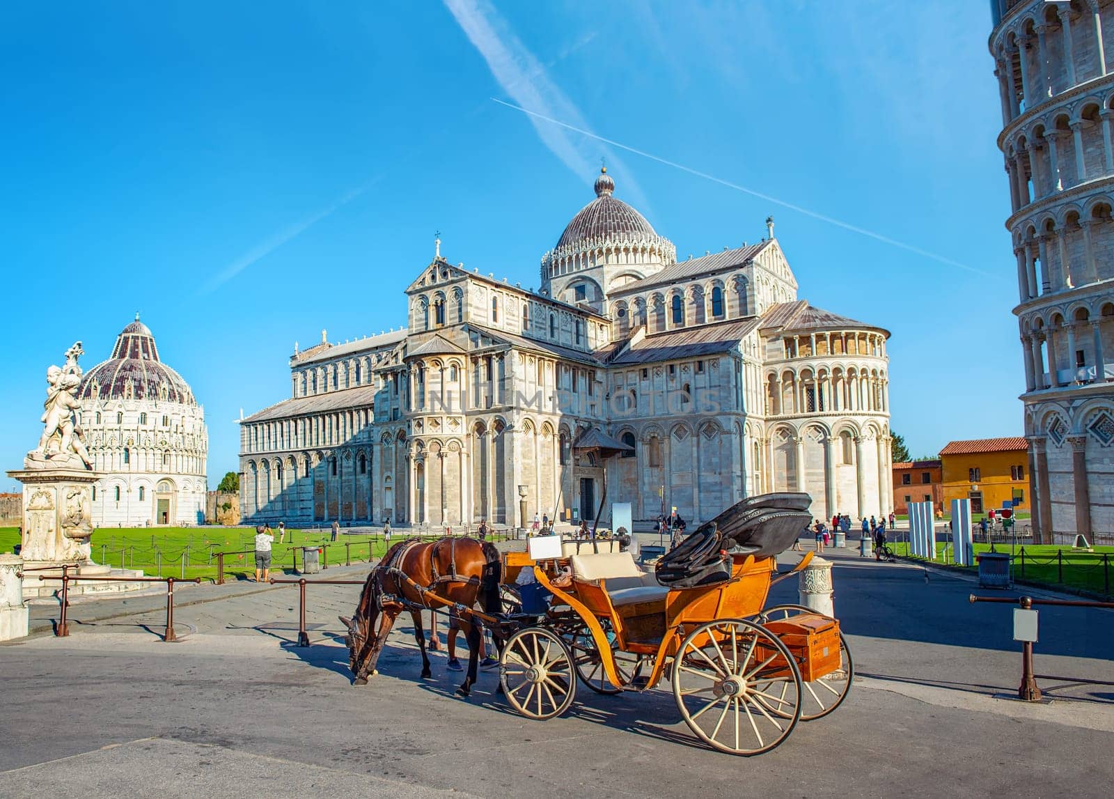Carriage with horse in front of the leaning tower of Pisa