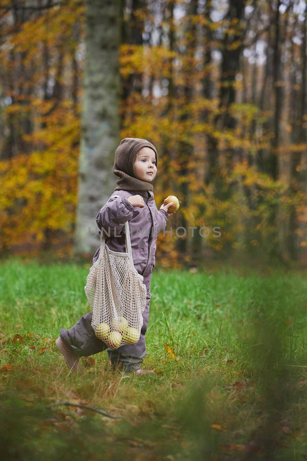 Beautiful child in the forest in Denmark by Viktor_Osypenko