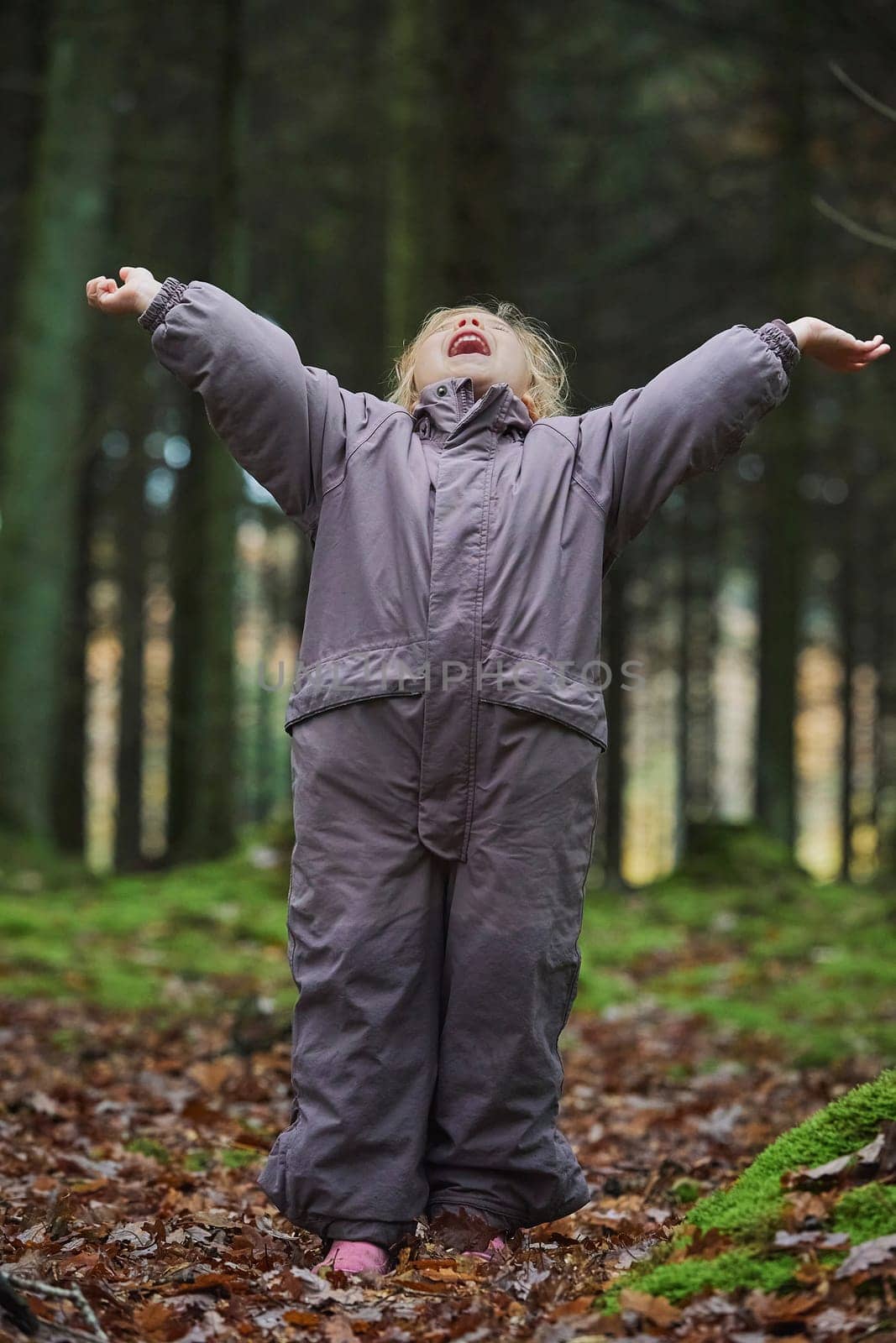 Beautiful child in the forest in Denmark.