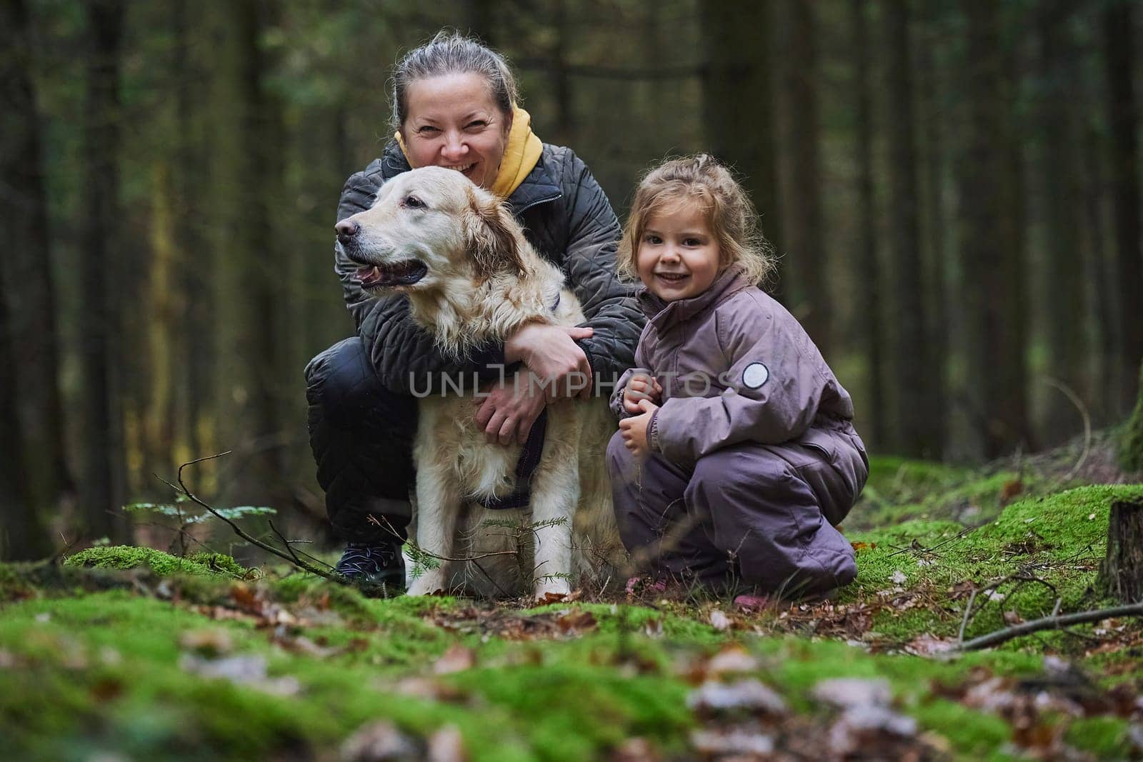 A family with a dog walks in the forest in Denmark.