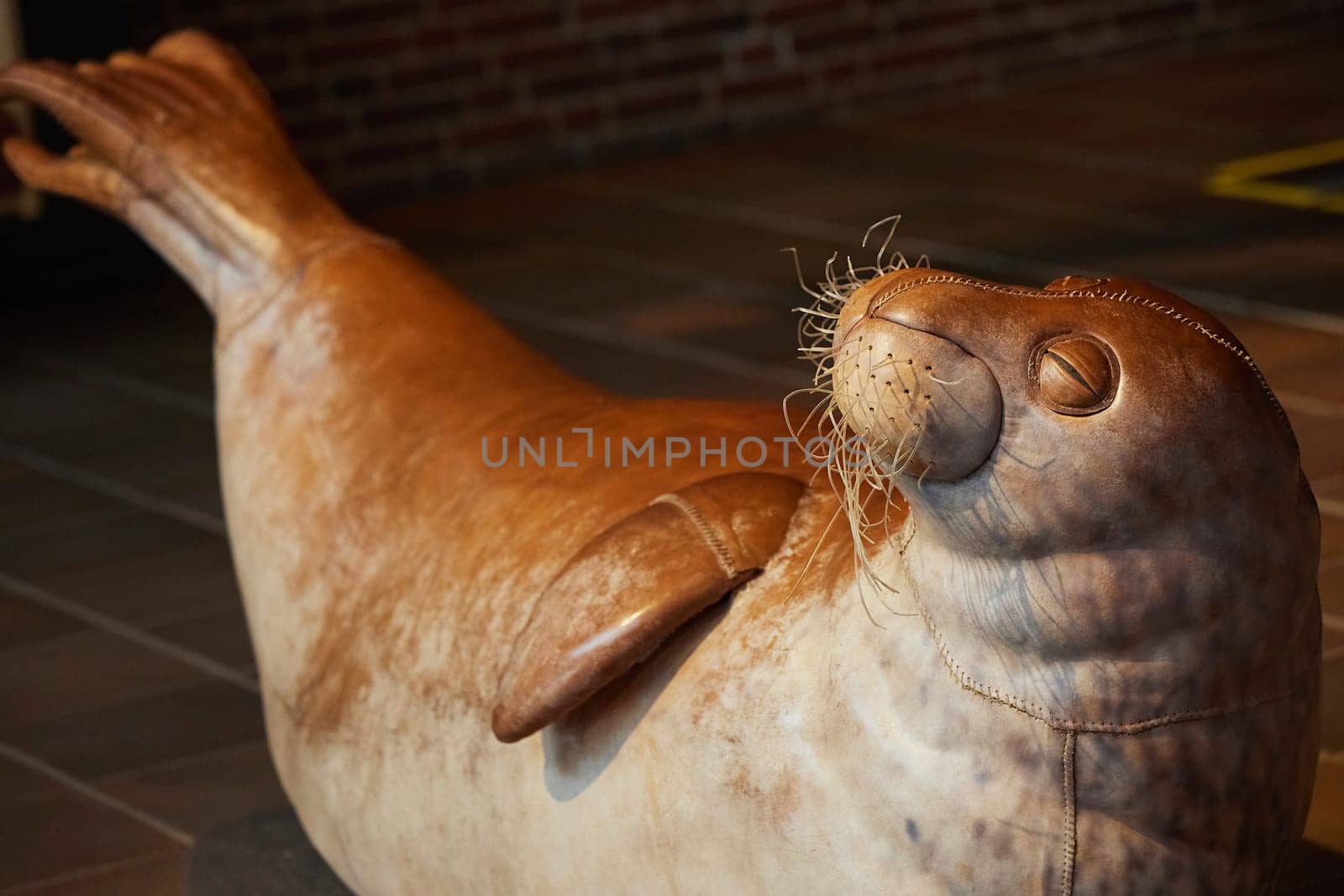 Leather toy seal in an oceanarium in Denmark by Viktor_Osypenko