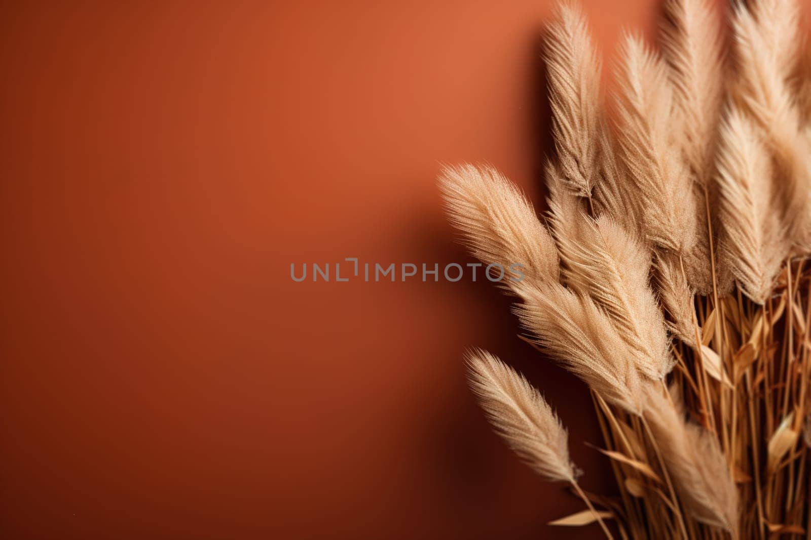 Soft beige pampas grass plumes gracefully set against a rich brown background, creating a warm and inviting texture perfect for cozy autumn themes. Empty, copy space for text. Generative AI