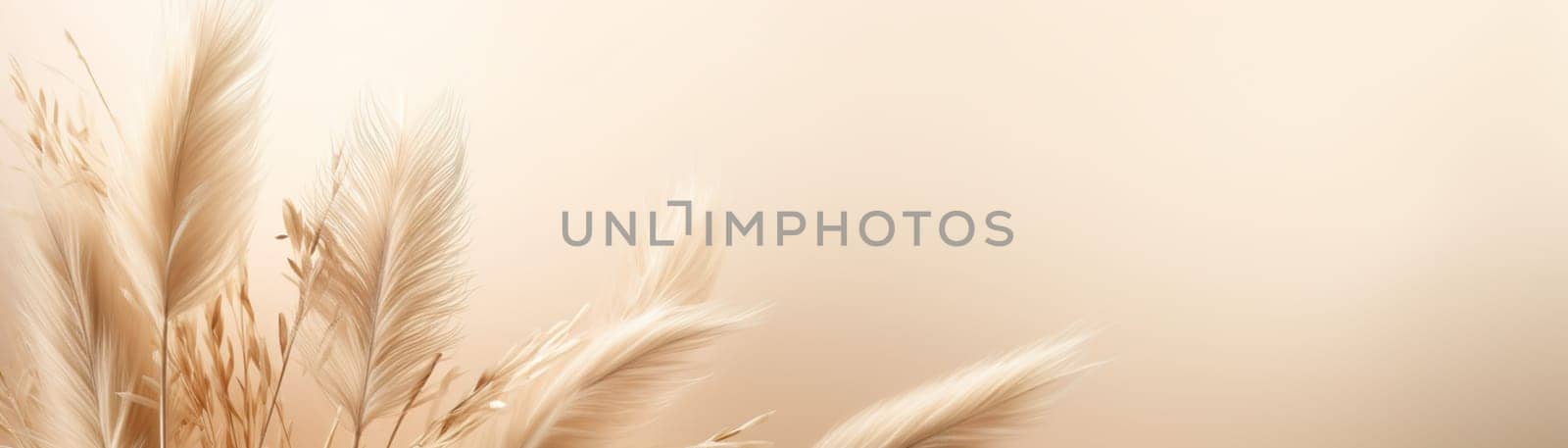Elegant beige pampas grass plumes on a smooth beige background with ample copy space, evoking a serene and natural aesthetic. Boho style. Natural backdrop with pastel colors. Banner. Generative AI. by creativebird