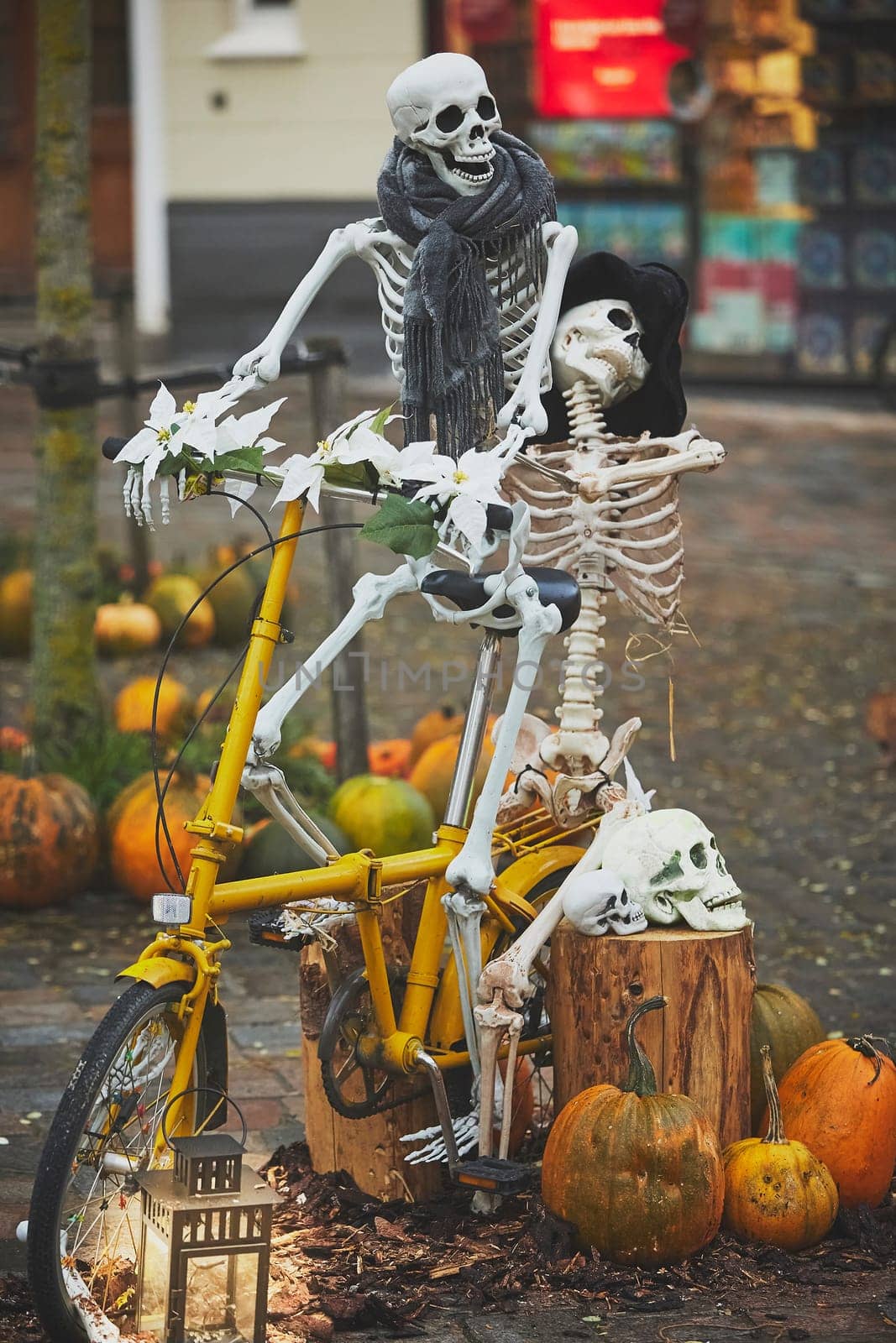 Funny skeletons on a bicycle on Halloween in Denmark.
