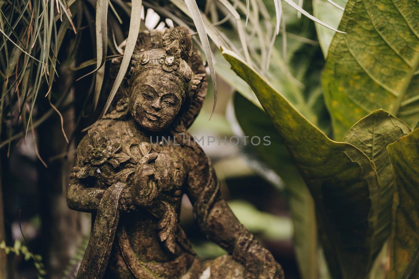 Close up shot of balinese statue with green nature background by Popov