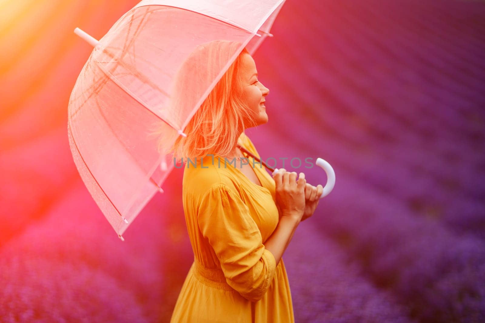 Woman lavender field. A middle-aged woman in a lavender field walks under an umbrella on a rainy day and enjoys aromatherapy. Aromatherapy concept, lavender oil, photo session in lavender.