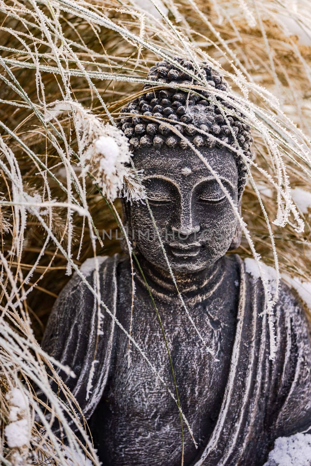 Striking Buddha figure with face and upper body between ornamental grass in the garden in winter