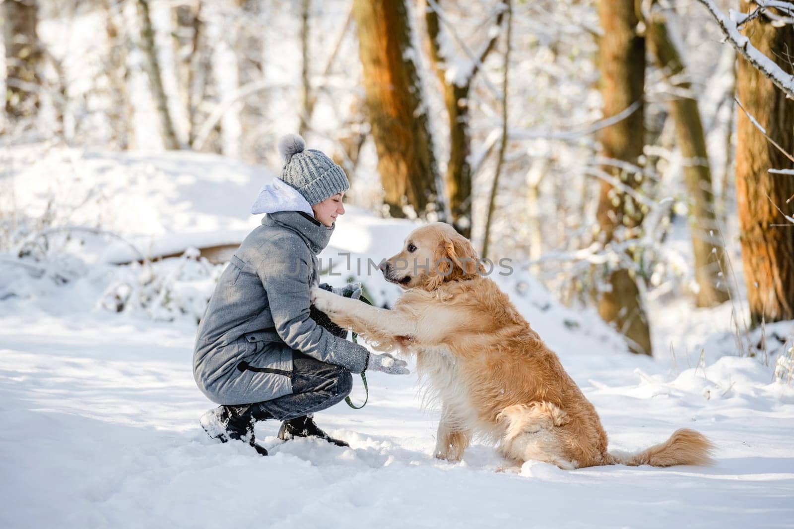Teenage Girl With Golden Retriever, Dog Giving Paw To Girl In Winter Forest by tan4ikk1