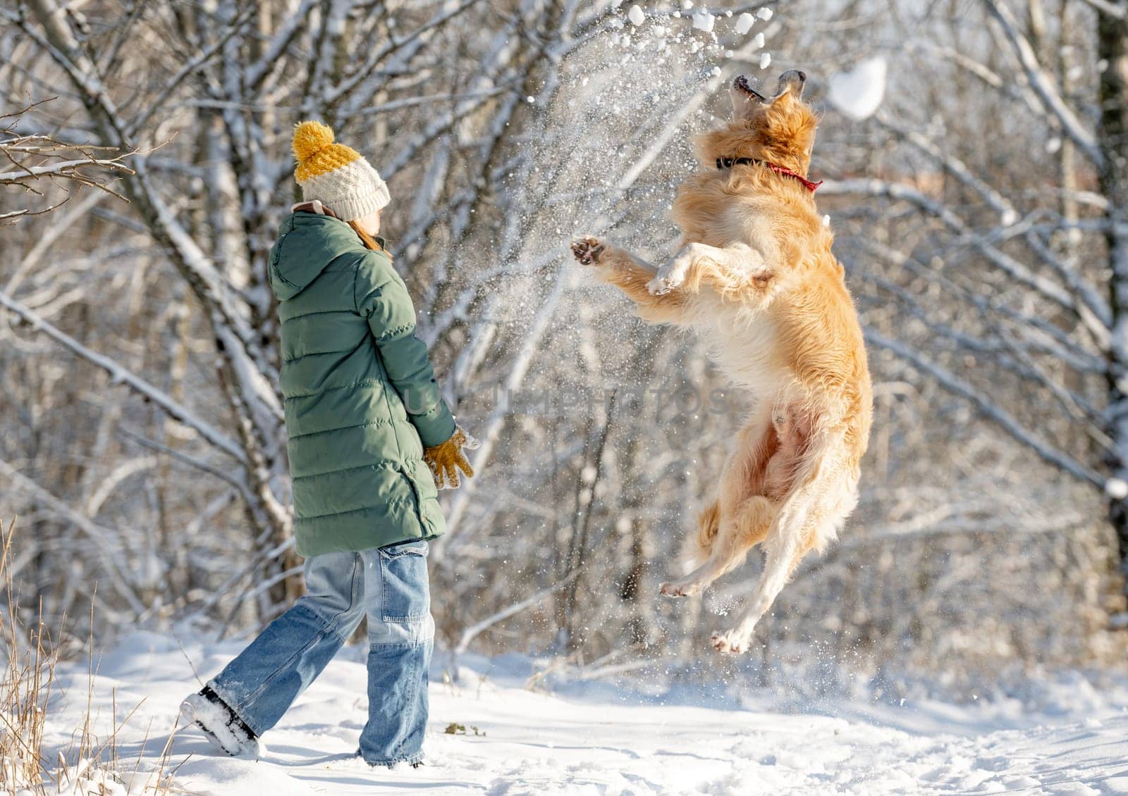 Little Girl With Jumping Golden Retriever In Winter Forest by tan4ikk1