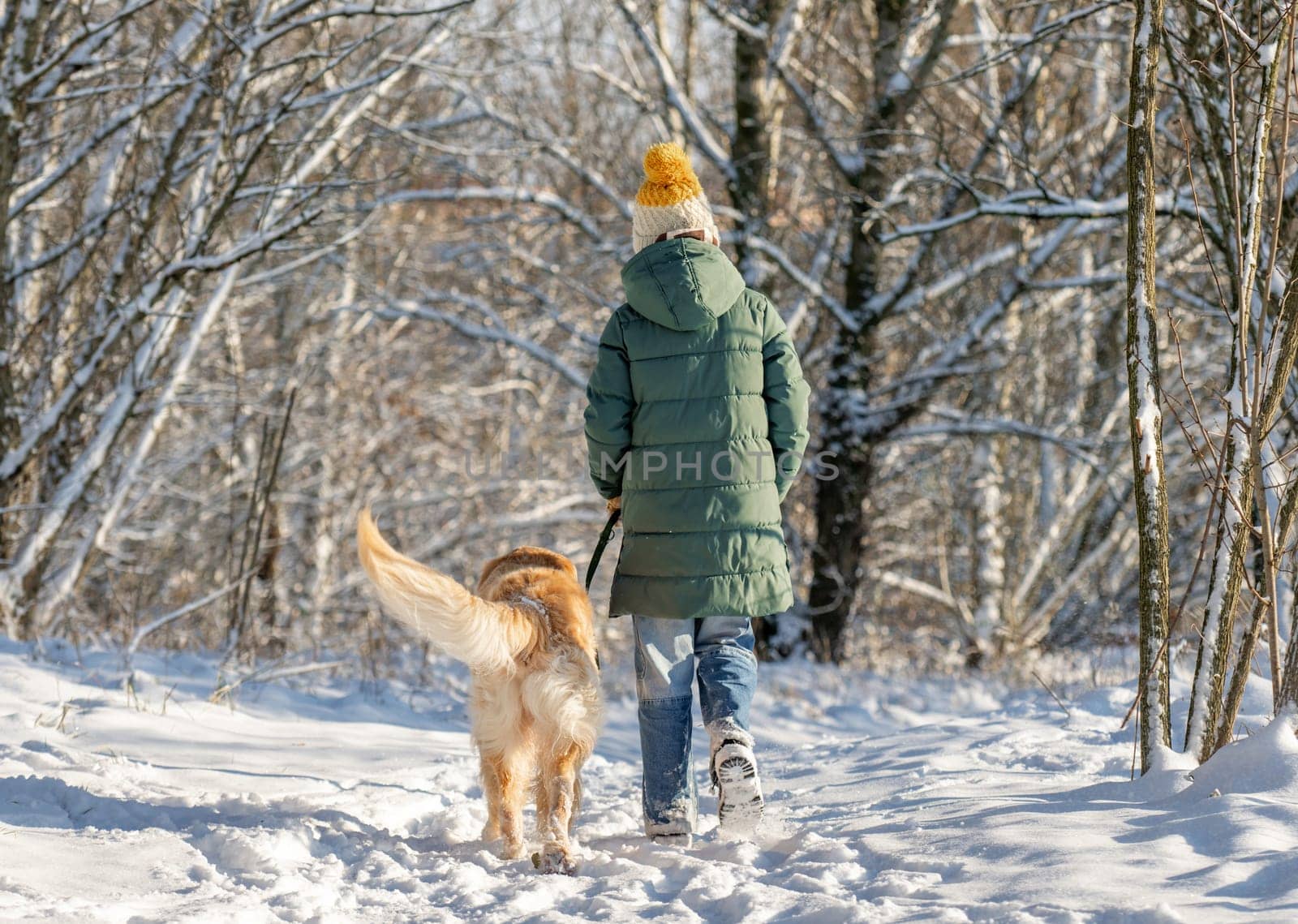 Girl Strolls With Golden Retriever In Winter Forest, View From Back, Walking With Dog Through Snow-Covered Woods