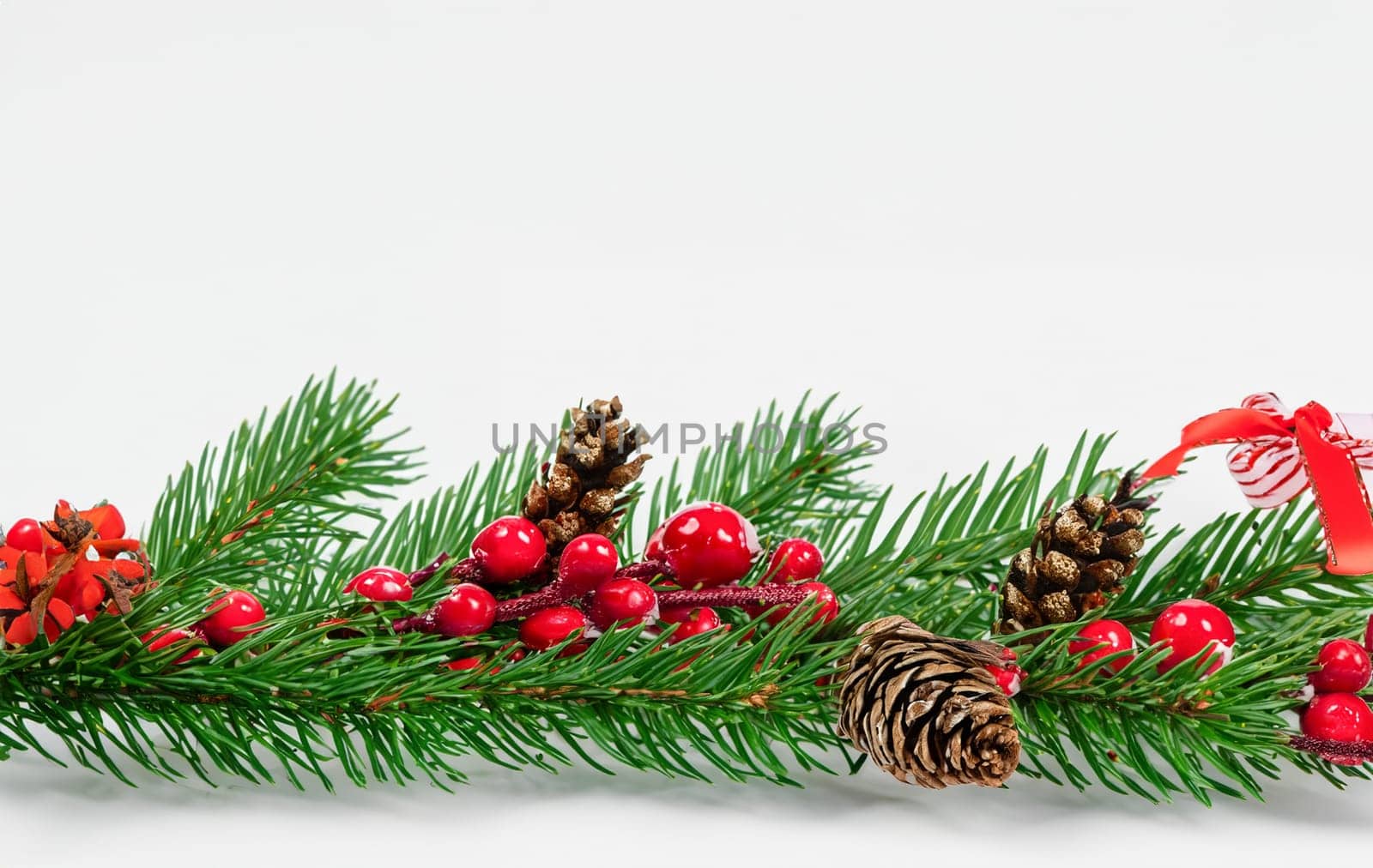 Snowberries with green twigs of Christmas tree, red decorations and cones in a holiday waved garland isolated on white or transparent background