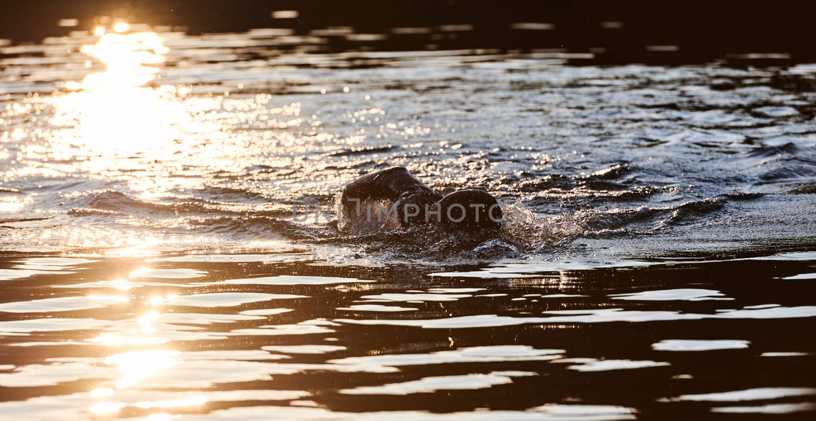 Triathlon athlete swimming on lake in sunrise wearing wetsuit by dotshock