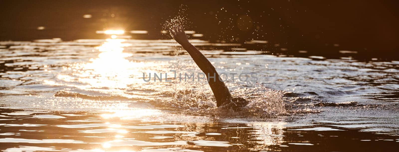 Triathlon athlete swimming on lake in sunrise wearing wetsuit. High quality photo