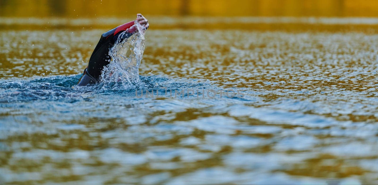 Triathlon athlete swimming on lake in sunrise wearing wetsuit by dotshock