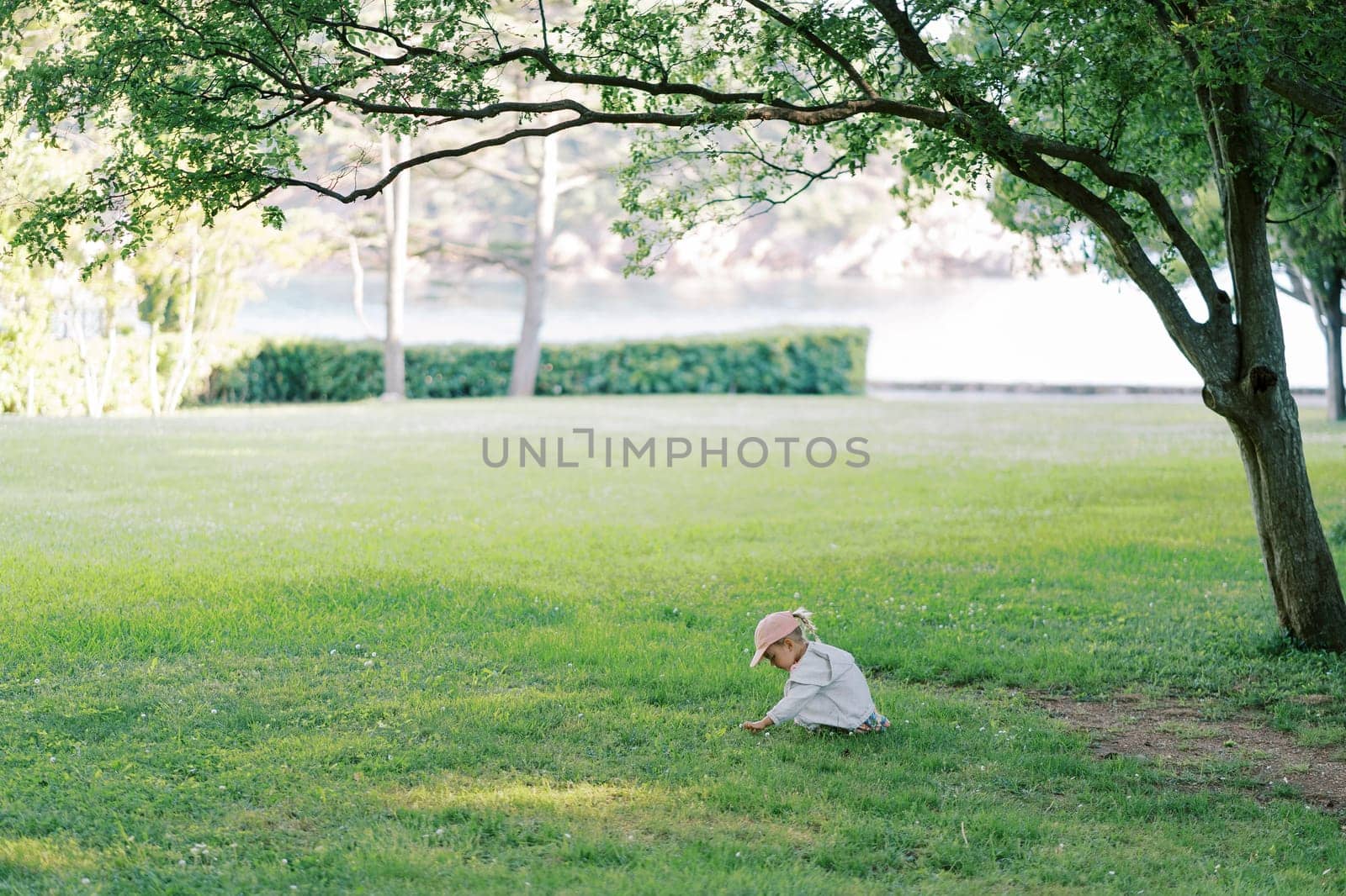 Little girl sits on a green meadow and picks wild flowers. High quality photo