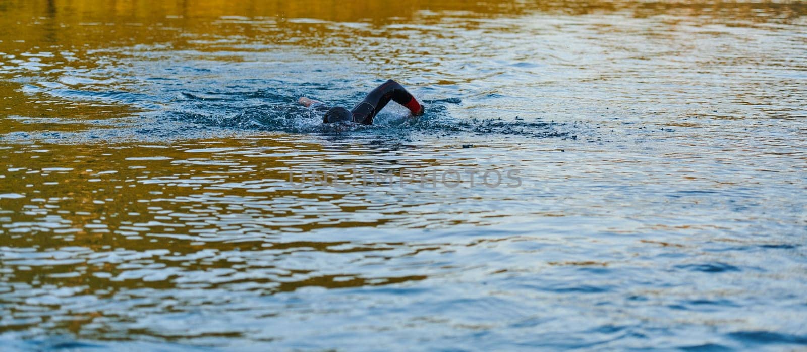 Triathlon athlete swimming on lake in sunrise wearing wetsuit by dotshock