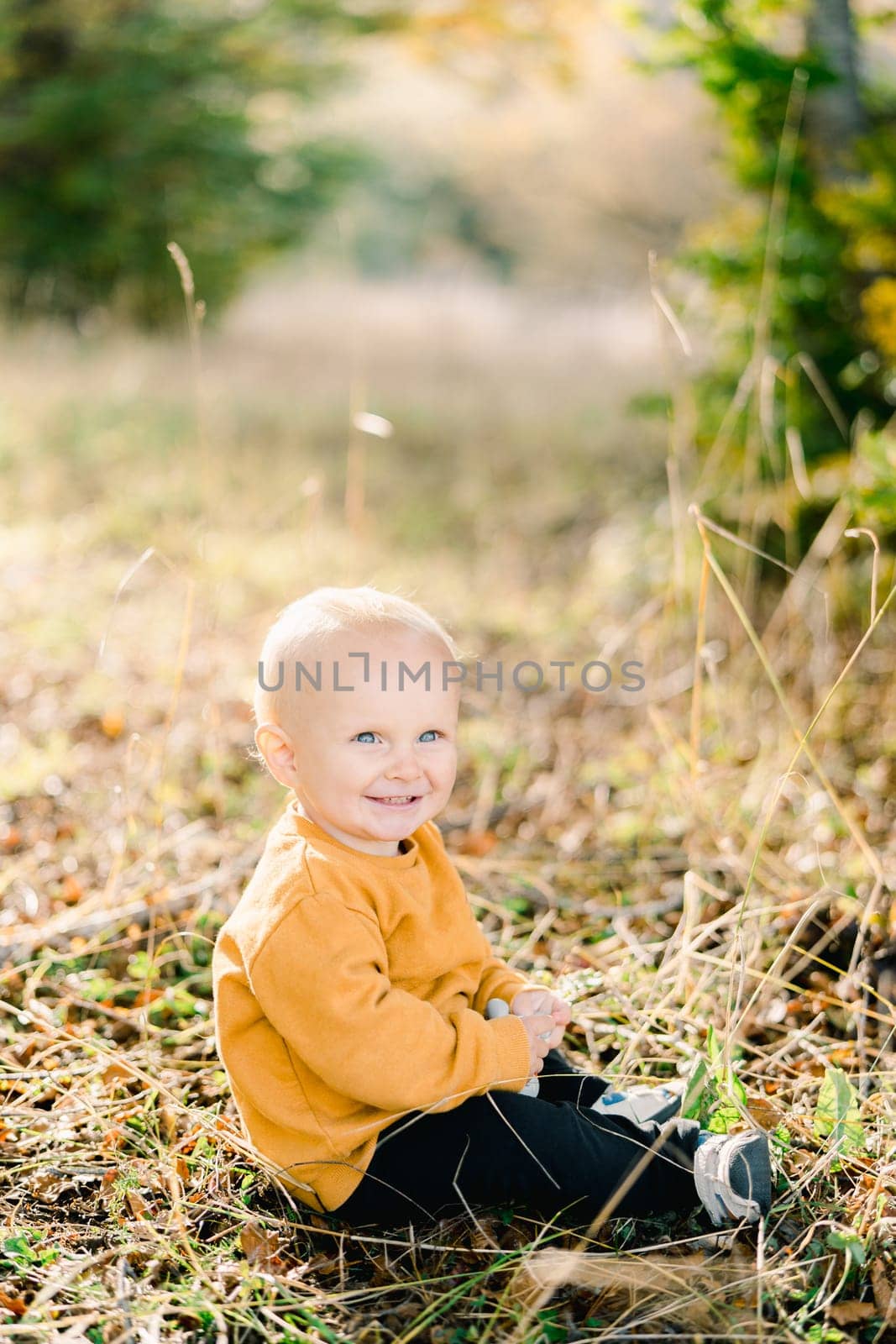 Smiling little boy sitting in a sunny meadow. High quality photo