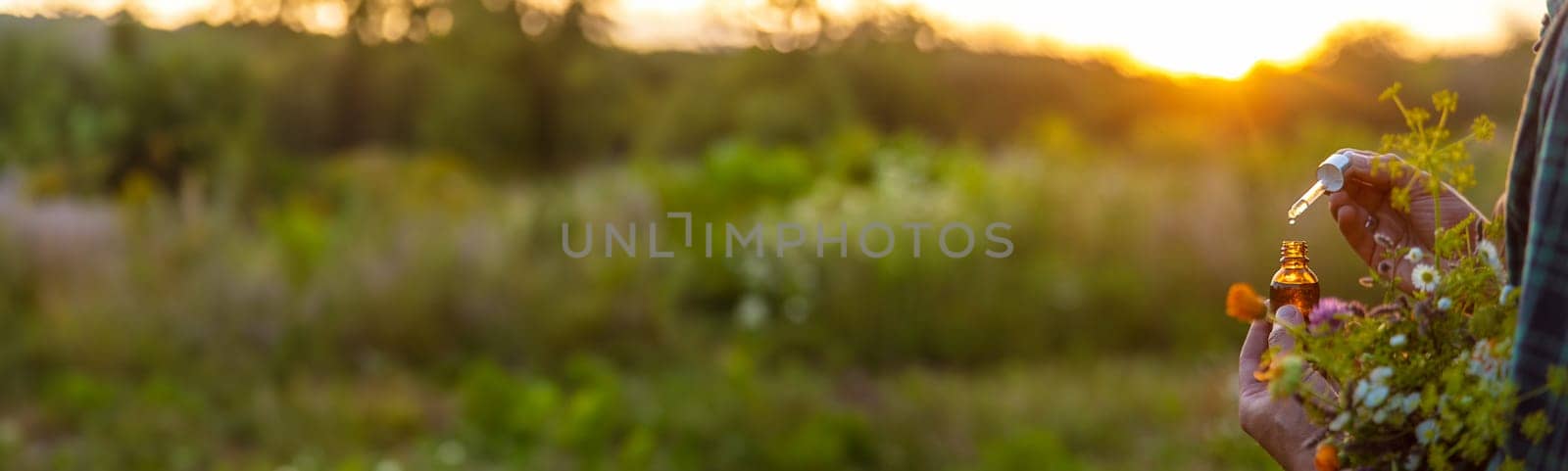 A man collects medicinal herbs in a field. Selective focus. Nature.