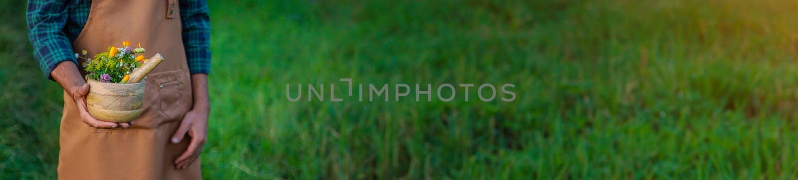 A man collects medicinal herbs in a field. Selective focus. Nature.