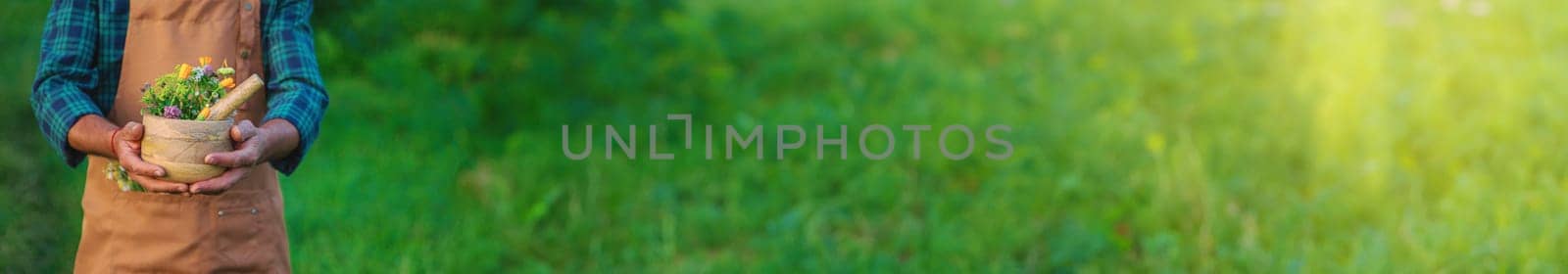 A man collects medicinal herbs in a field. Selective focus. Nature.