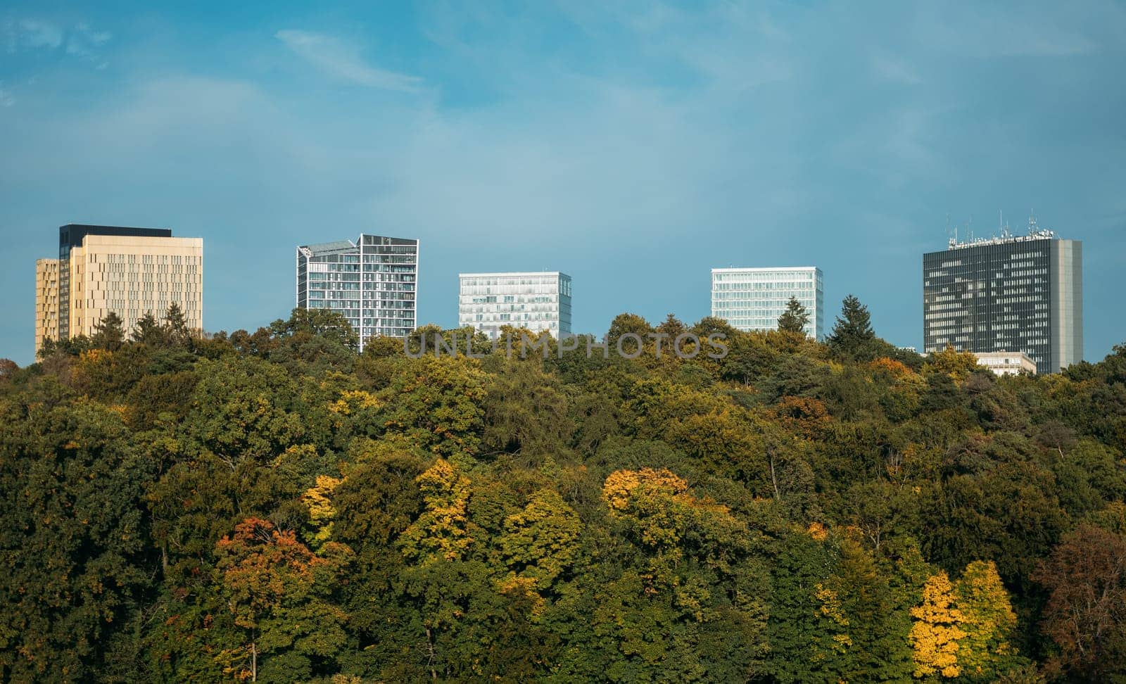 Modern high-rises buildings stick out of dense forest on hill slope in Luxemburg. View of modern city with different skyscrapers built on high ground