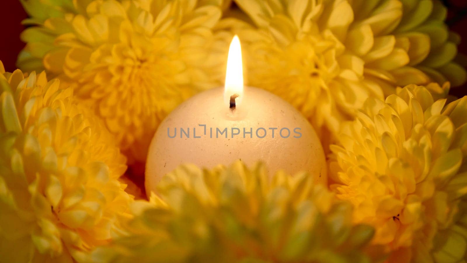 Celebration of the religious Indian festival of Diwali. Yellow flowers with burning holi candles at Hindi festival close-up