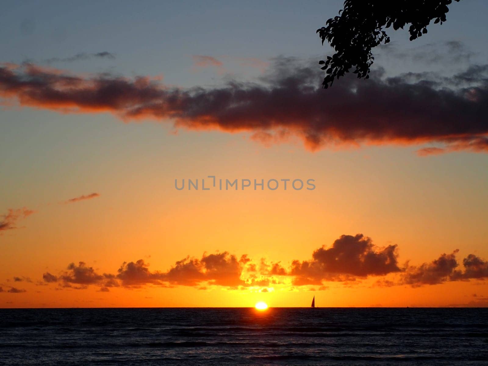 A stunning photo of a sailboat on the horizon at Waikiki sunset. The photo shows the sun partially hidden by the clouds, creating a gradient of orange and yellow colors in the sky. The ocean is a dark blue with small waves, reflecting the light of the sun. The sailboat is a white dot on the horizon, adding a touch of adventure and romance to the scene. A tree is visible on the right side of the image, framing the view. The photo captures the beauty and the tranquility of Waikiki, Hawaii.