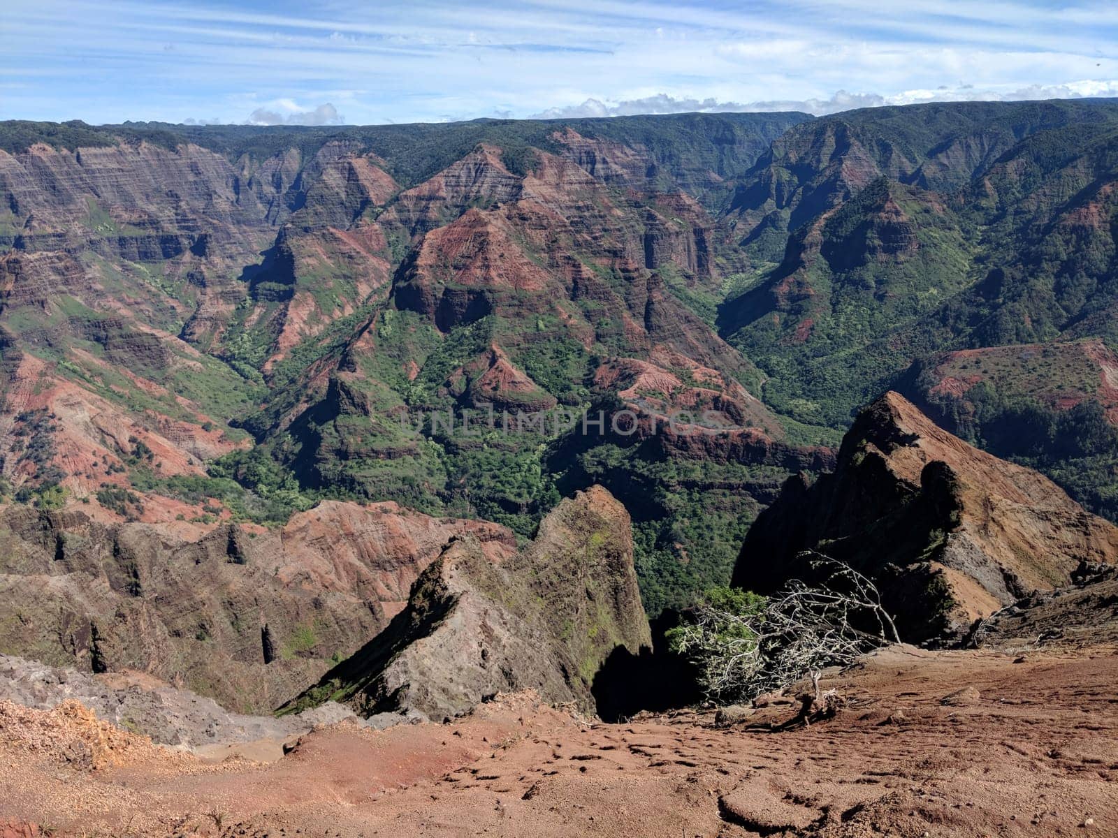 Waimea Canyon in 2017, showing the deep valley and the river running through it. The photo shows the contrast between the red and green colors of the canyon walls and the blue sky and the white clouds. The photo is taken from a high angle, capturing the vastness and beauty of the canyon.