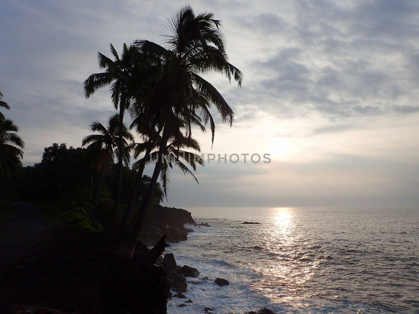 A beautiful sunrise over the ocean in Pahoa, Hawaii. The photo shows the gradient of orange and blue colors in the sky and the reflection of the sun on the water. The photo also shows the palm trees and the rocks on the sides of the ocean, creating a natural and scenic contrast. The photo is taken from a higher vantage point, looking down at the ocean.