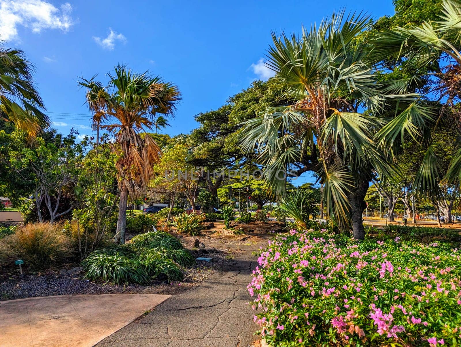 Queen Kapiolani Garden and Park on Oahu by EricGBVD