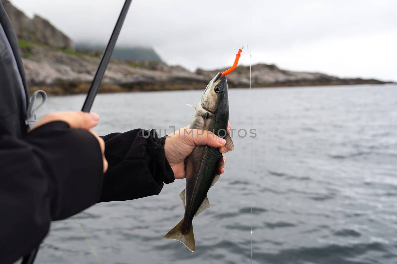 A fisherman unhooking a fresh catch on a rocky shore in Norway, with serene waters and distant mountains in the background. A tranquil fishing adventure outdoors.