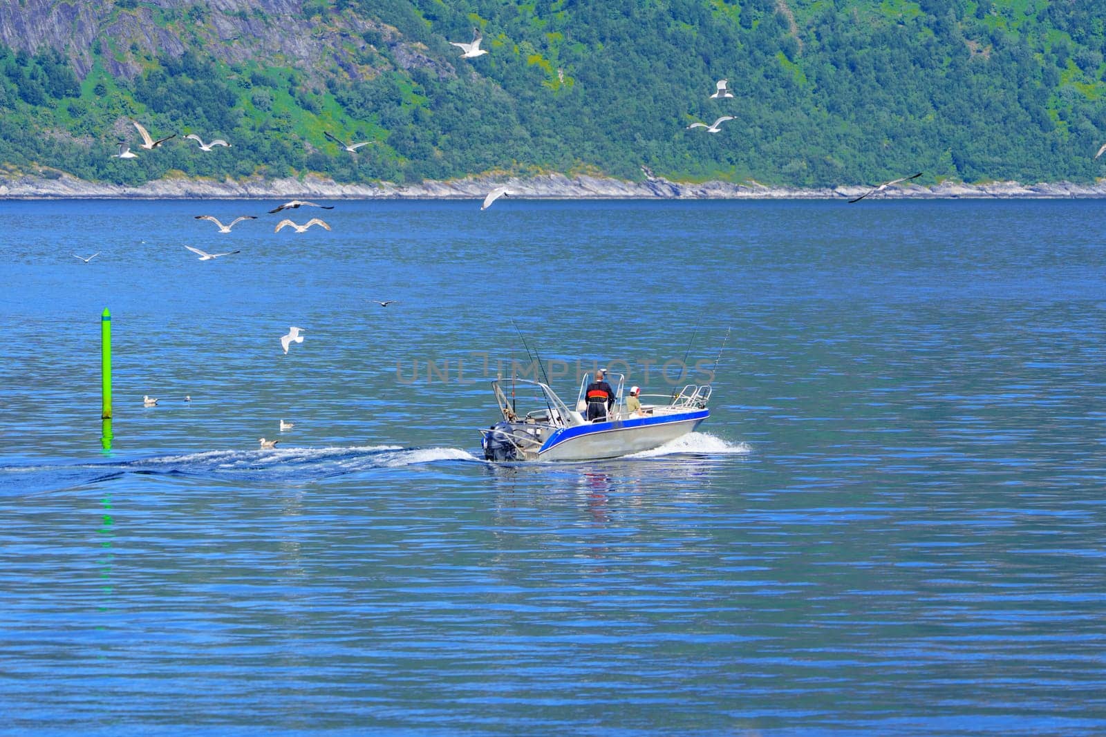 A glimpse into the world of Norwegian sea fishing, featuring fishermen on an aluminum boat surrounded by the majestic waters of the Norwegian Sea, creating a scene of serene beauty and natural allure.