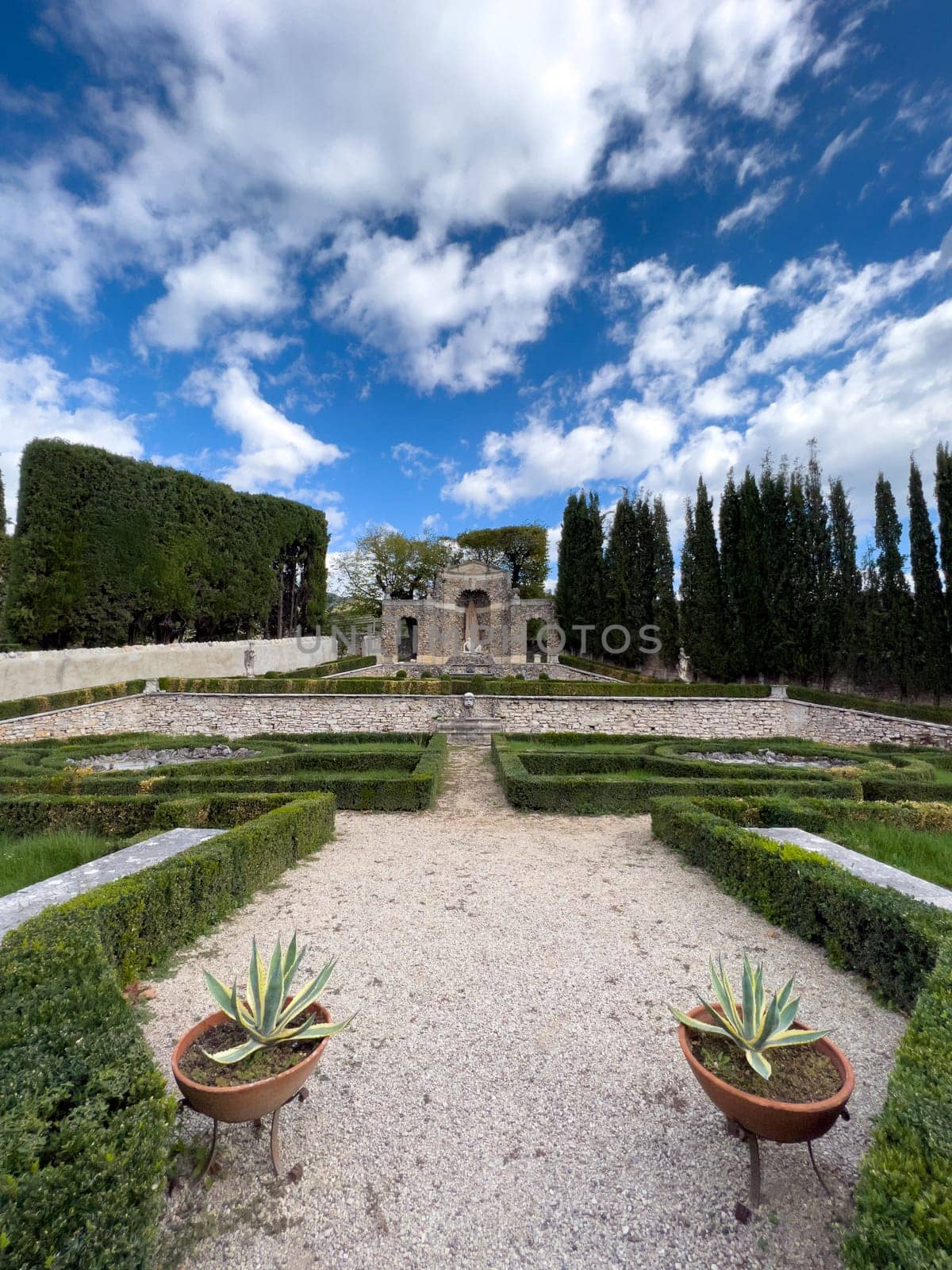 Beautifully trimmed bushes in the form of geometric shapes in the garden. High quality photo