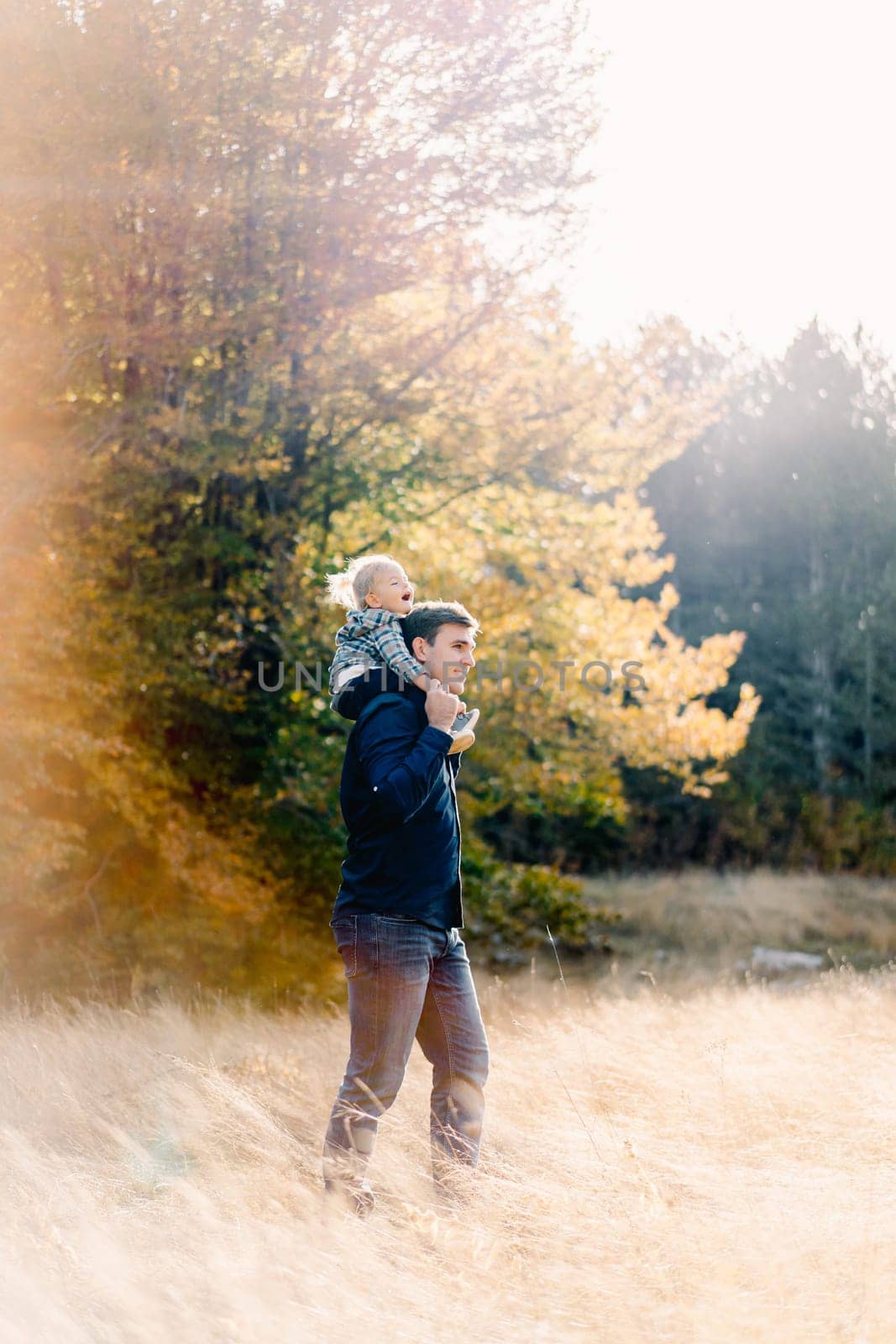 Dad with a smiling little girl on his shoulders walks through the meadow. Side view. High quality photo