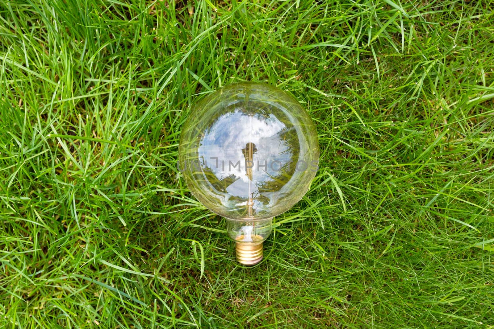 Incandescent lamp in the grass close-up. View from above.
