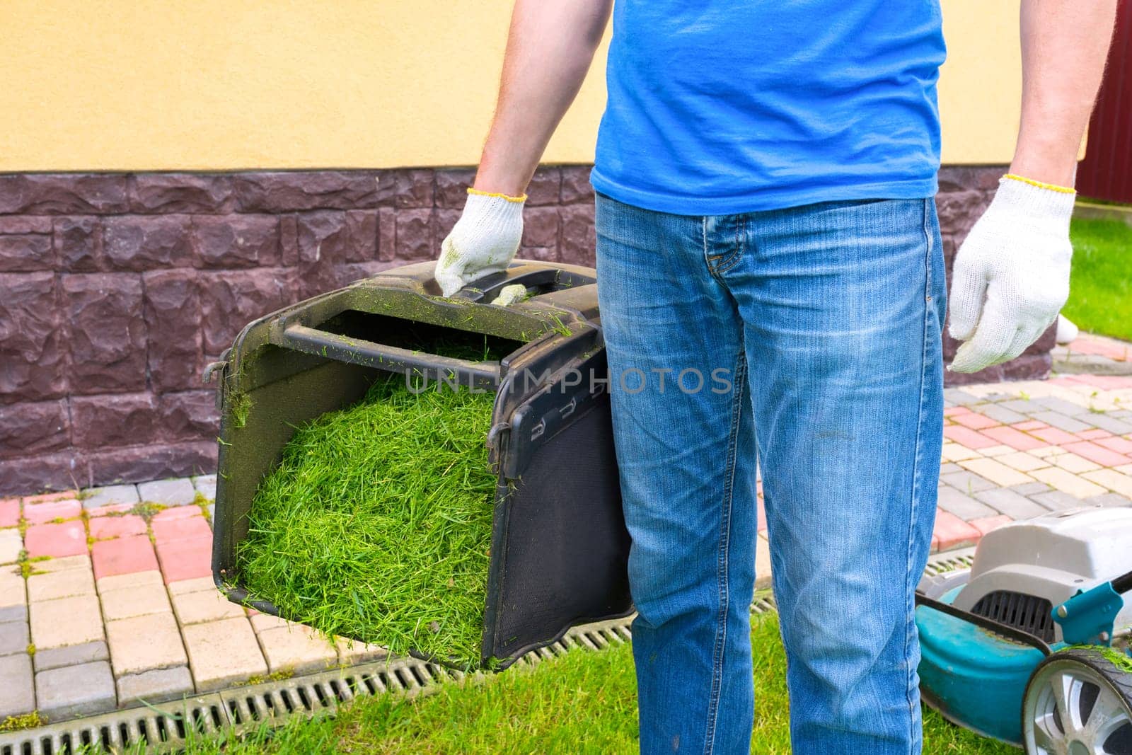 A container of mowed grass and a gardener close-up. Housework