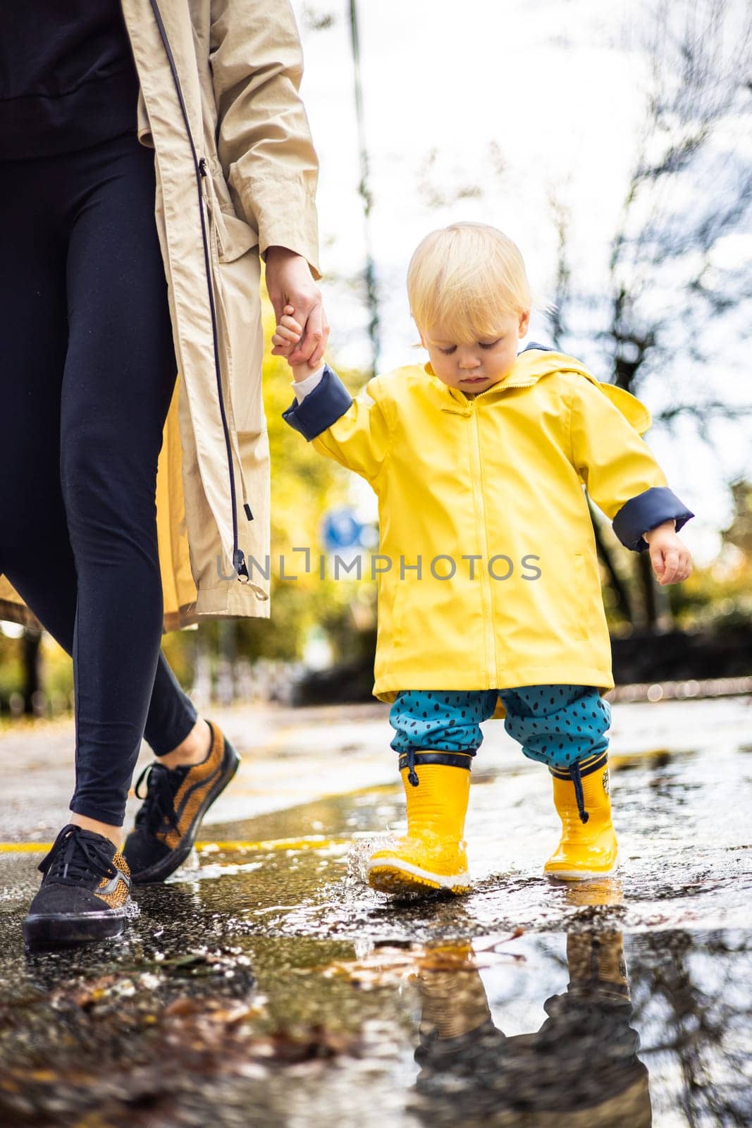 Small bond infant boy wearing yellow rubber boots and yellow waterproof raincoat walking in puddles on a overcast rainy day holding her mother's hand. Mom with small child in rain outdoors. by kasto
