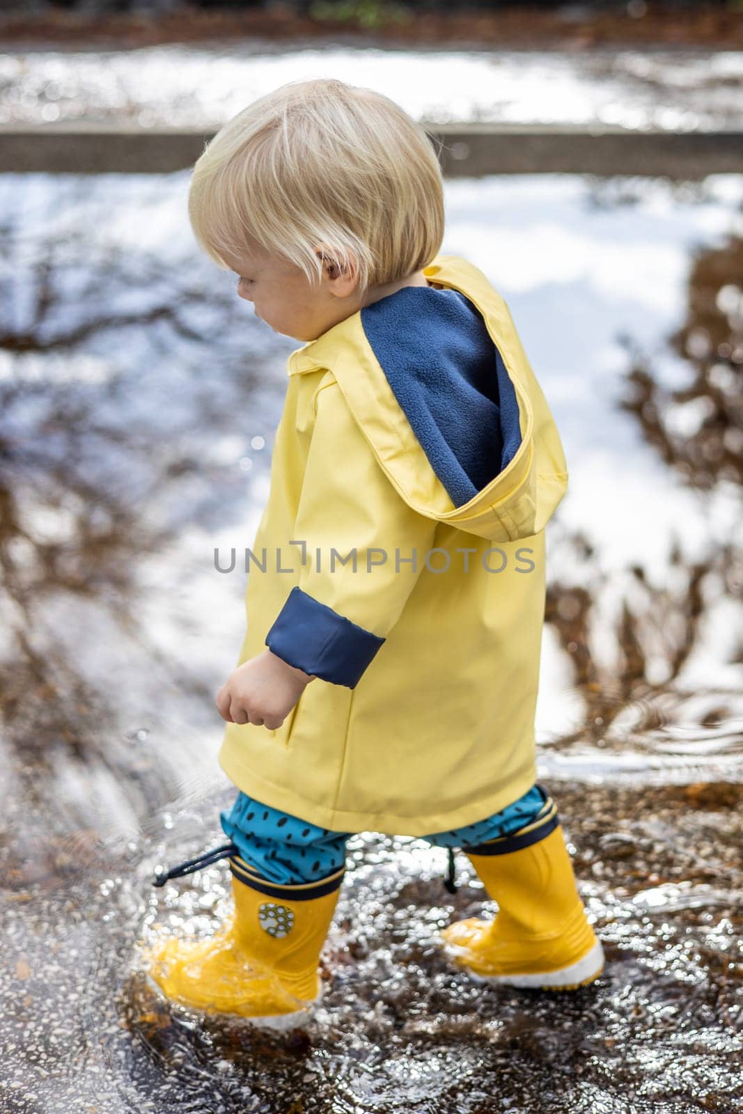 Small bond infant boy wearing yellow rubber boots and yellow waterproof raincoat walking in puddles on a overcast rainy day. Child in the rain. by kasto