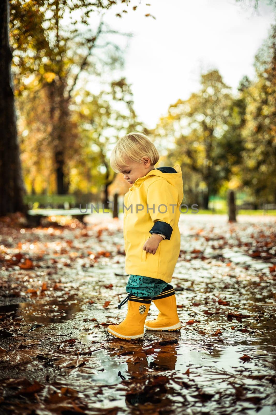 Small bond infant boy wearing yellow rubber boots and yellow waterproof raincoat walking in puddles on a overcast rainy day. Child in the rain. by kasto