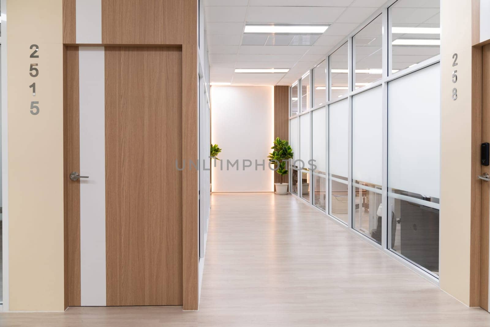 Empty modern office bright corridor with glass wall. Long white modern office hallway. No businesspeople. Many glass wall and doors. White bright empty workplace corridor background. Ornamented.