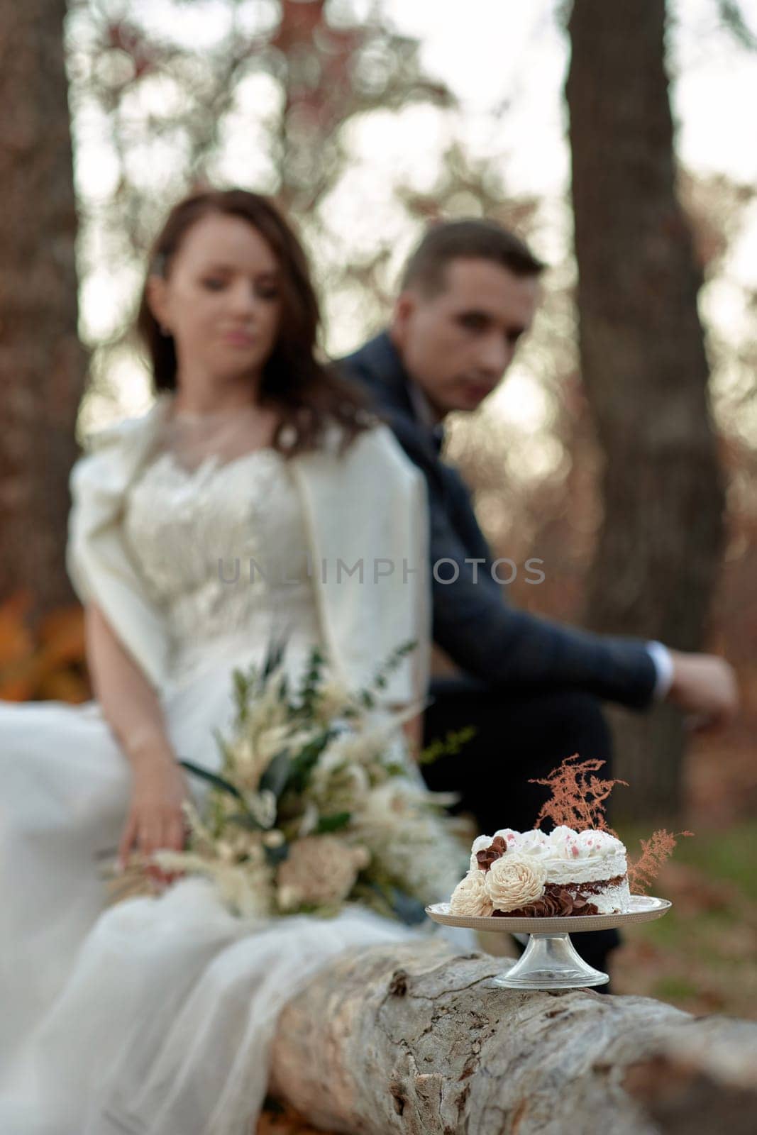 wedding autumn cake on the tree and wedding couple on the background